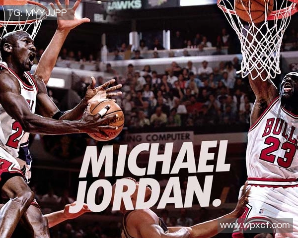 雄鹿队的团队默契如何带领球队走向胜利？