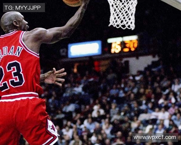 阿尔及利亚新星加盟沃尔夫斯堡，转会费欧元助力球队进攻